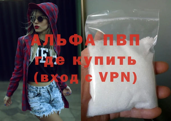 стафф Великий Новгород