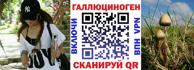 кракен ONION  где купить наркотик  Рыльск  Галлюциногенные грибы GOLDEN TEACHER 